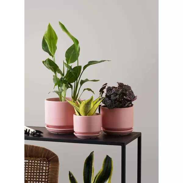 imageLE TAUCI Ceramic Plant Pots 435368 inch Set of 3 Planters with Drainage Hole and Saucer Indoor Flower Pot with Hole Mesh Pad Gifts for Mom Reactive Glaze BeigePink