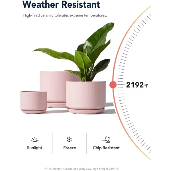 imageLE TAUCI Ceramic Plant Pots 435368 inch Set of 3 Planters with Drainage Hole and Saucer Indoor Flower Pot with Hole Mesh Pad Gifts for Mom Reactive Glaze BeigePink