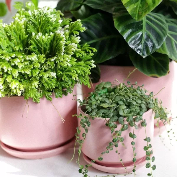 imageLE TAUCI Ceramic Plant Pots 435368 inch Set of 3 Planters with Drainage Hole and Saucer Indoor Flower Pot with Hole Mesh Pad Gifts for Mom Reactive Glaze BeigePink