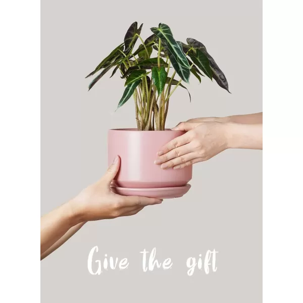 imageLE TAUCI Ceramic Plant Pots 435368 inch Set of 3 Planters with Drainage Hole and Saucer Indoor Flower Pot with Hole Mesh Pad Gifts for Mom Reactive Glaze BeigePink