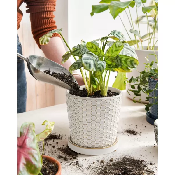 imageLE TAUCI Ceramic Plant Pots 54 Inch Pots for Indoor Plants Planters with Drainage Hole and Saucer Flower Pots for Succulent Snake Plants and Cactus Set of 2 Reactive Glaze White54 inch