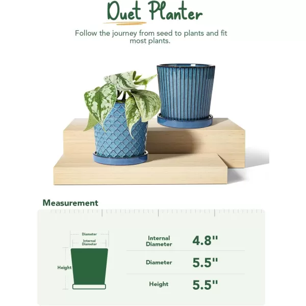 imageLE TAUCI Ceramic Plant Pots 54 Inch Pots for Indoor Plants Planters with Drainage Hole and Saucer Flower Pots for Succulent Snake Plants and Cactus Set of 2 Reactive Glaze White55 inch