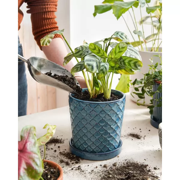 imageLE TAUCI Ceramic Plant Pots 54 Inch Pots for Indoor Plants Planters with Drainage Hole and Saucer Flower Pots for Succulent Snake Plants and Cactus Set of 2 Reactive Glaze White55 inch