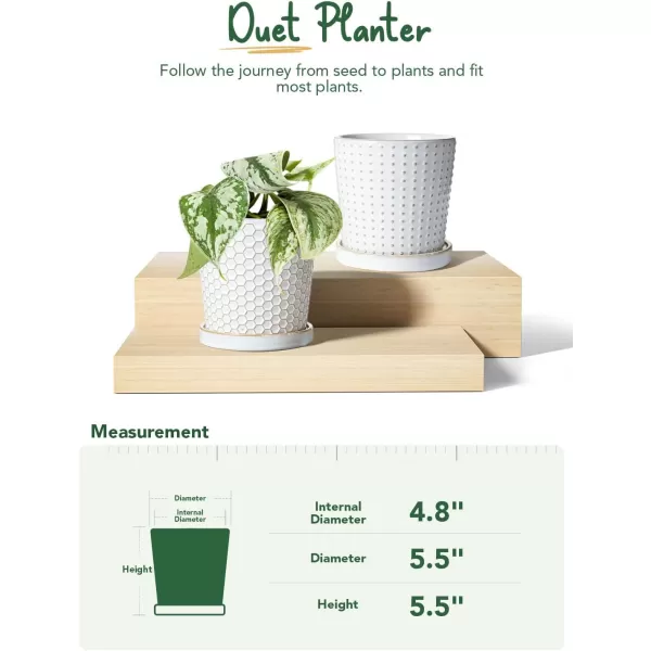 imageLE TAUCI Ceramic Plant Pots 54 Inch Pots for Indoor Plants Planters with Drainage Hole and Saucer Flower Pots for Succulent Snake Plants and Cactus Set of 2 Reactive Glaze White54 inch