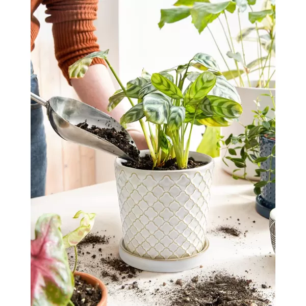 imageLE TAUCI Ceramic Plant Pots 54 Inch Pots for Indoor Plants Planters with Drainage Hole and Saucer Flower Pots for Succulent Snake Plants and Cactus Set of 2 Reactive Glaze White54 inch