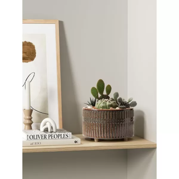 imageLE TAUCI Succulent Pots 658 Inch Ceramic Indoor Plant Pot with Drainage Hole Modern Round Decorative Flower Pot Set of 2 Matte WhiteReactive Glaze Black