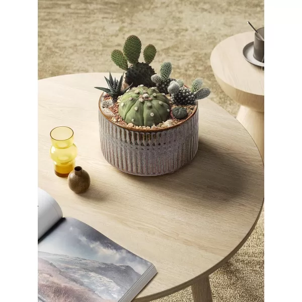 imageLE TAUCI Succulent Pots 658 Inch Ceramic Indoor Plant Pot with Drainage Hole Modern Round Decorative Flower Pot Set of 2 Matte WhiteReactive Glaze Black