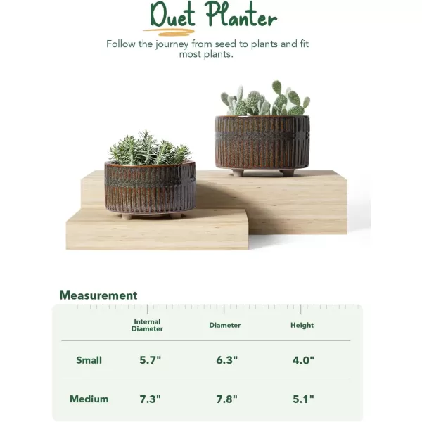 imageLE TAUCI Succulent Pots 658 Inch Ceramic Indoor Plant Pot with Drainage Hole Modern Round Decorative Flower Pot Set of 2 Matte WhiteReactive Glaze Black