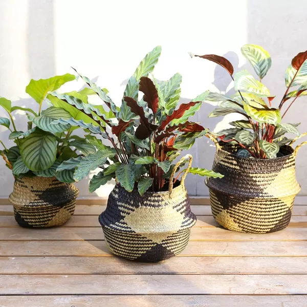 imageLE TAUCI Plant Baskets with Liner Woven Seagrass Planter Basket with Handles Indoor Home Decor Storage Laundry Picnic Grocery Straw Beach Bag Set of 3 SML Black Block