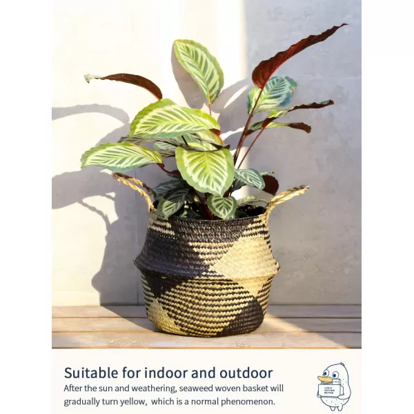 imageLE TAUCI Seagrass Belly Basket Woven Plant Pot Basket Home Decor Storage Laundry Picnic Grocery Straw Beach Bag Small  Medium  Large Black Block