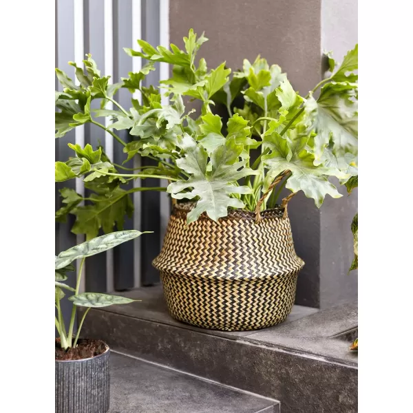 imageE TAUCI Seagrass Belly Basket Woven Plant Pot Basket Home Decor Storage Laundry Picnic Grocery Straw Beach Bag SmallLarge Black Strips