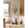 imageLE TAUCI 10 Inch Planter with Acacia Wood Stand Ceramic Planters for Indoor Plants Unique Plant Pots Indoor for Home Decor Cylinder Pots for Plants with Drainage Hole and Plug Neutral GrayNeutral Gray