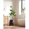 imageLE TAUCI 10 Inch Planter with Acacia Wood Stand Ceramic Planters for Indoor Plants Unique Plant Pots Indoor for Home Decor Cylinder Pots for Plants with Drainage Hole and Plug Neutral GrayCharcoal Gray