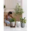 imageLE TAUCI 10 Inch Planter with Acacia Wood Stand Ceramic Planters for Indoor Plants Unique Plant Pots Indoor for Home Decor Cylinder Pots for Plants with Drainage Hole and Plug Neutral GrayCharcoal Gray