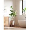 imageLE TAUCI 10 Inch Planter with Acacia Wood Stand Ceramic Planters for Indoor Plants Unique Plant Pots Indoor for Home Decor Cylinder Pots for Plants with Drainage Hole and Plug Neutral GrayNeutral Gray