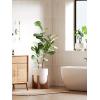 imageLE TAUCI 10 Inch Planter with Acacia Wood Stand Ceramic Planters for Indoor Plants Unique Plant Pots Indoor for Home Decor Cylinder Pots for Plants with Drainage Hole and Plug Neutral GrayWhite