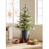 imageLE TAUCI 10 Inch Planter with Acacia Wood Stand Ceramic Planters for Indoor Plants Unique Plant Pots Indoor for Home Decor Cylinder Pots for Plants with Drainage Hole and Plug Neutral GrayCharcoal Gray