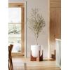 imageLE TAUCI 10 Inch Planter with Acacia Wood Stand Ceramic Planters for Indoor Plants Unique Plant Pots Indoor for Home Decor Cylinder Pots for Plants with Drainage Hole and Plug Neutral GrayWhite