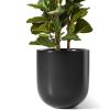 imageLE TAUCI 12 Inch Pots for Plants Ceramic Large Planters for Home Garden Patio Office Indoor Modern Plant Pots with Drainage Hole and Rubber Plug BlackBlack