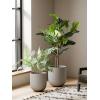 imageLE TAUCI 12 Inch Pots for Plants Ceramic Large Planters for Home Garden Patio Office Indoor Modern Plant Pots with Drainage Hole and Rubber Plug BlackNeutral Gray