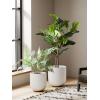imageLE TAUCI 12 Inch Pots for Plants Ceramic Large Planters for Home Garden Patio Office Indoor Modern Plant Pots with Drainage Hole and Rubber Plug BlackWhite