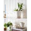 imageLE TAUCI Ceramic Plant Pots 49 Inch Flower Pots with Drainage Hole ampamp Saucer Embossed Planter Pots for Indoor Plant Succulent Orchid Cactus Home Decor  Set of 4 Arctic White6 inch