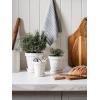 imageLE TAUCI Ceramic Plant Pots 49 Inch Flower Pots with Drainage Hole ampamp Saucer Embossed Planter Pots for Indoor Plant Succulent Orchid Cactus Home Decor  Set of 4 Arctic White6 inch