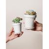 imageLE TAUCI Ceramic Plant Pots 49 Inch Flower Pots with Drainage Hole ampamp Saucer Embossed Planter Pots for Indoor Plant Succulent Orchid Cactus Home Decor  Set of 4 Arctic White3 inch
