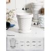 imageLE TAUCI Ceramic Plant Pots 49 Inch Flower Pots with Drainage Hole ampamp Saucer Embossed Planter Pots for Indoor Plant Succulent Orchid Cactus Home Decor  Set of 4 Arctic White4 inch