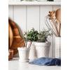 imageLE TAUCI Ceramic Plant Pots 49 Inch Flower Pots with Drainage Hole ampamp Saucer Embossed Planter Pots for Indoor Plant Succulent Orchid Cactus Home Decor  Set of 4 Arctic White4 inch