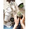 imageLE TAUCI Ceramic Plant Pots 49 Inch Flower Pots with Drainage Hole ampamp Saucer Embossed Planter Pots for Indoor Plant Succulent Orchid Cactus Home Decor  Set of 4 Arctic White3 inch