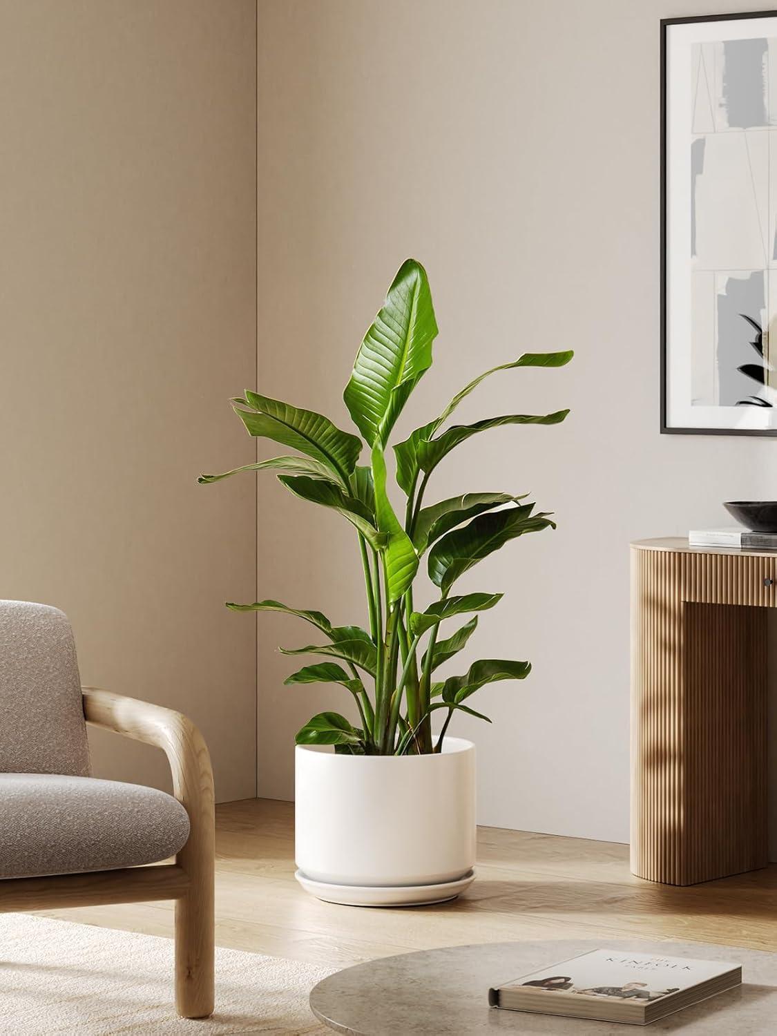 imageLE TAUCI 12 Inch Pots for Plants Ceramic Plant Pots with Drainage Holes and Saucers Elegant and Durable Large Plant Pot Perfect for Home ampamp Office Decor BlackWhite