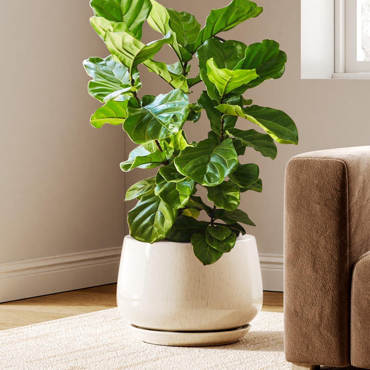 imageLE TAUCI Ceramic Planters 12 Inch Pots for Plants Indoor Plant Pots with Drainage Holes and Saucers Modern Planters Fit Mid Century Plant Stand Flower Pots for Indoor Plants BlackReactive Glaze Beige