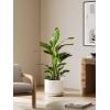 imageLE TAUCI 12 Inch Pots for Plants Ceramic Plant Pots with Drainage Holes and Saucers Elegant and Durable Large Plant Pot Perfect for Home ampamp Office Decor BlackWhite
