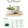 imageLE TAUCI Ceramic Plant Pots Set of 2 10  12 Inch Plant Pot Elegant Planters for Indoor Plants Sturdy Planter with Drainage Hole and Saucers Perfect for Home Decor WhiteReactive Glaze Beige