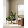 imageLE TAUCI Ceramic Planters 12 Inch Pots for Plants Indoor Plant Pots with Drainage Holes and Saucers Modern Planters Fit Mid Century Plant Stand Flower Pots for Indoor Plants BlackWhite