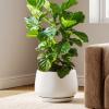 imageLE TAUCI Ceramic Planters 12 Inch Pots for Plants Indoor Plant Pots with Drainage Holes and Saucers Modern Planters Fit Mid Century Plant Stand Flower Pots for Indoor Plants BlackWhite