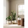 imageLE TAUCI Ceramic Planters 12 Inch Pots for Plants Indoor Plant Pots with Drainage Holes and Saucers Modern Planters Fit Mid Century Plant Stand Flower Pots for Indoor Plants BlackReactive Glaze Beige