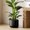 imageLE TAUCI 12 Inch Pots for Plants Ceramic Plant Pots with Drainage Holes and Saucers Elegant and Durable Large Plant Pot Perfect for Home ampamp Office Decor BlackBlack