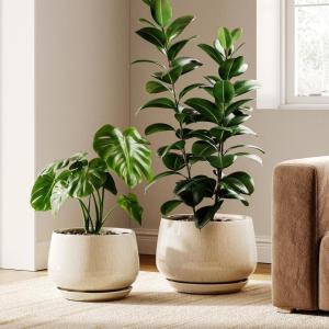 imageLE TAUCI Ceramic Plant Pots Set of 2 10  12 Inch Plant Pot Elegant Planters for Indoor Plants Sturdy Planter with Drainage Hole and Saucers Perfect for Home Decor WhiteReactive Glaze Beige