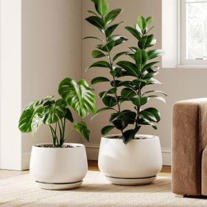 imageLE TAUCI Ceramic Plant Pots Set of 2 10  12 Inch Plant Pot Elegant Planters for Indoor Plants Sturdy Planter with Drainage Hole and Saucers Perfect for Home Decor WhiteWhite
