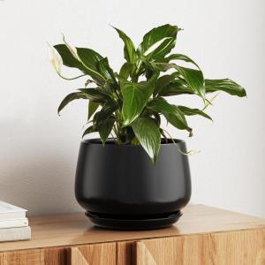 imageLE TAUCI Ceramic Planters 12 Inch Pots for Plants Indoor Plant Pots with Drainage Holes and Saucers Modern Planters Fit Mid Century Plant Stand Flower Pots for Indoor Plants BlackBlack