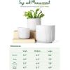 imageLE TAUCI Fluted Ceramic Planters Set of 3  837  57 in Star White Reactive Cylinder Indoor Plant Pots with Drainage Plug ampamp Mesh Glossy Stoneware Flower Pots for Succulents HerbsWhite