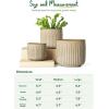imageLE TAUCI Fluted Ceramic Planters Set of 3  837  57 in Star White Reactive Cylinder Indoor Plant Pots with Drainage Plug ampamp Mesh Glossy Stoneware Flower Pots for Succulents HerbsGlaze Cloud Cream