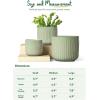 imageLE TAUCI Fluted Ceramic Planters Set of 3  837  57 in Star White Reactive Cylinder Indoor Plant Pots with Drainage Plug ampamp Mesh Glossy Stoneware Flower Pots for Succulents HerbsGlaze Sage Green