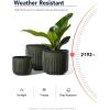 imageLE TAUCI Fluted Ceramic Planters Set of 3  837  57 in Star White Reactive Cylinder Indoor Plant Pots with Drainage Plug ampamp Mesh Glossy Stoneware Flower Pots for Succulents HerbsReactive Glaze Dark Olive