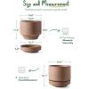 imageLE TAUCI Large 14 Inch Plant Pot with Saucer  Ceramic Outdoor ampamp Indoor Big Planter Pot  Drainage Hole Mesh Pad ampamp Plug  Unglazed Porous  Modern Minimalist for Home and Patio  Terracotta ColorTerracotta Color