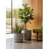 imageLE TAUCI Large 14 Inch Plant Pot with Saucer  Ceramic Outdoor ampamp Indoor Big Planter Pot  Drainage Hole Mesh Pad ampamp Plug  Unglazed Porous  Modern Minimalist for Home and Patio  Terracotta ColorNeutral Gray