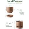 imageLE TAUCI Large 14 Inch Plant Pot with Saucer  Ceramic Outdoor ampamp Indoor Big Planter Pot  Drainage Hole Mesh Pad ampamp Plug  Unglazed Porous  Modern Minimalist for Home and Patio  Terracotta ColorTerracotta Color