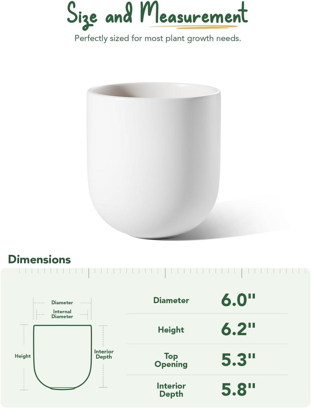 imageLE TAUCI 8 Inch Plant Pot Ceramic Pot with Drainage Hole ampamp Rubber Plug Indoor Planter for Herbs ampamp Small Houseplants Cylinder Planter for Home Office WhiteWhite